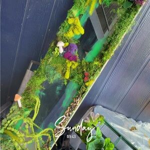 Green and Purple Moss Wall Art with Mushrooms